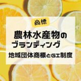 農林水産物のブランディング　～地域団体商標とGI制度